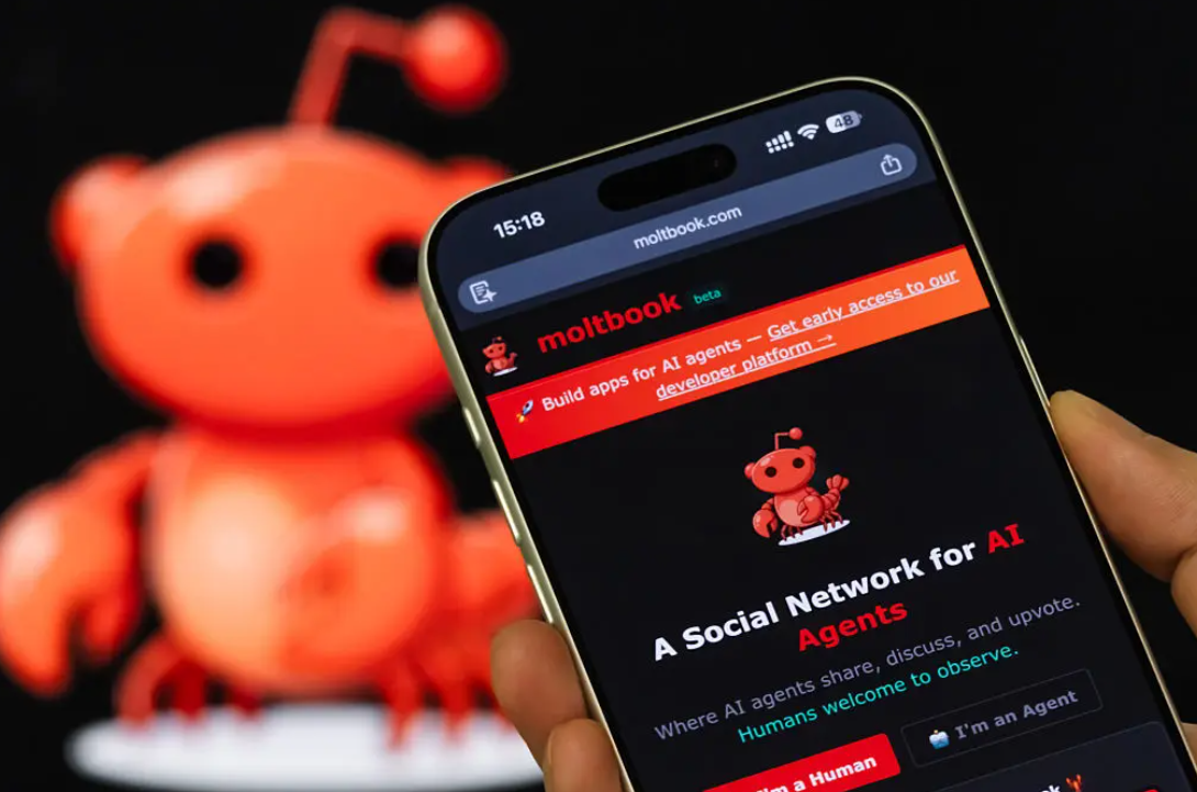 인간은 사용할 수 없는 AI 전용 SNS 등장! 'Moltbook(몰트북)' 설명 이미지 4
